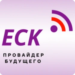 Единая Сетевая Компания