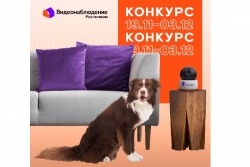 Удивлена Москва: Ростелеком зачем-то собирает компромат на домашних животных…